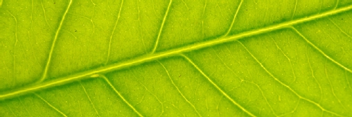 Getting started with measuring AI’s carbon footprint